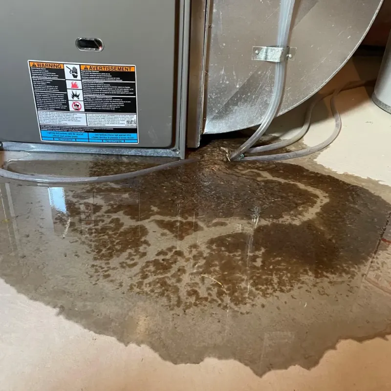 Appliance Leak Cleanup in Coalville, UT
