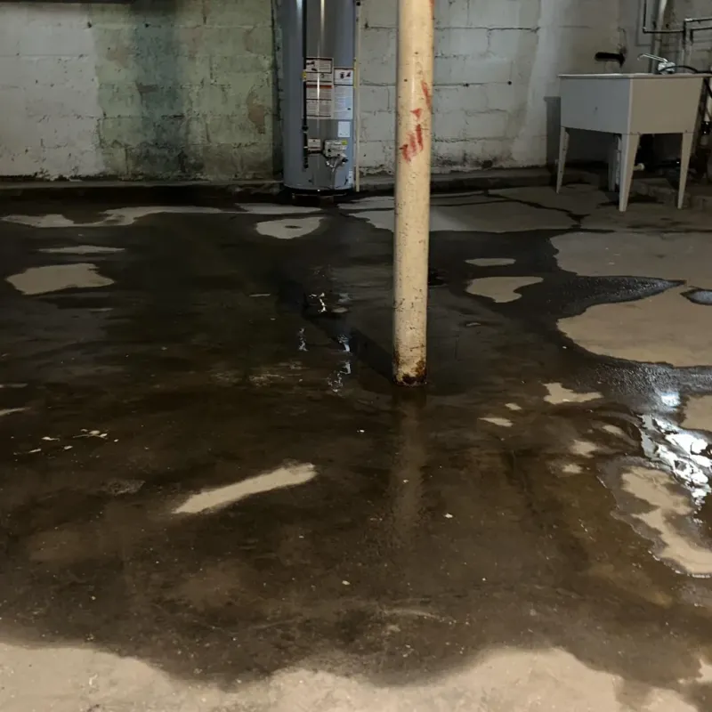Emergency Water Extraction And Removal in Coalville, UT